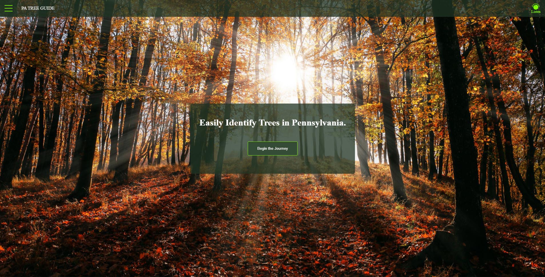 Image of the patreeguide homepage which includes a large photo of trees in a forest with lots of sunlight